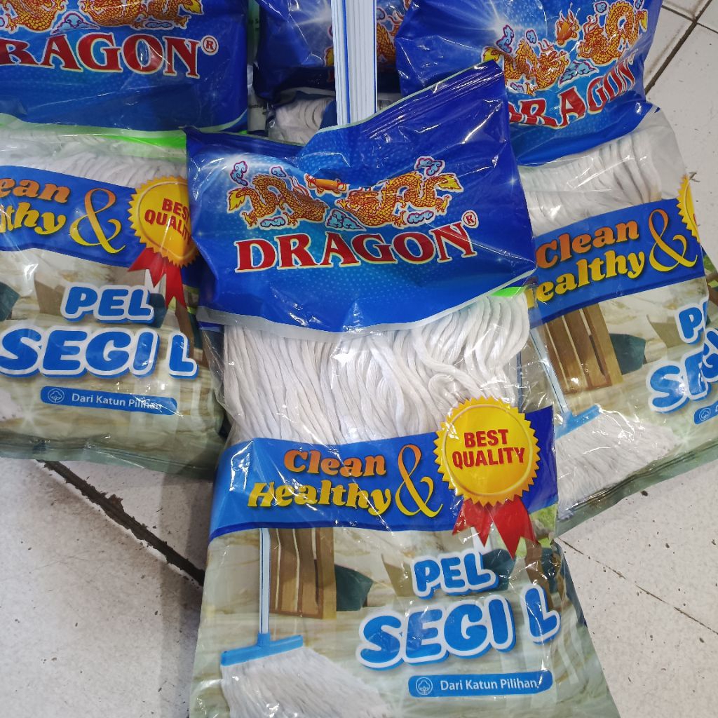 dragon pel lantai dragon pel