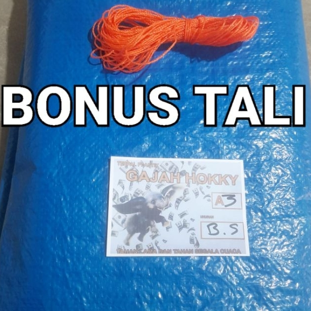 Terpal Tenda 5x7 A3 Terpal Jemur Padi Terpal Kolam Ikan