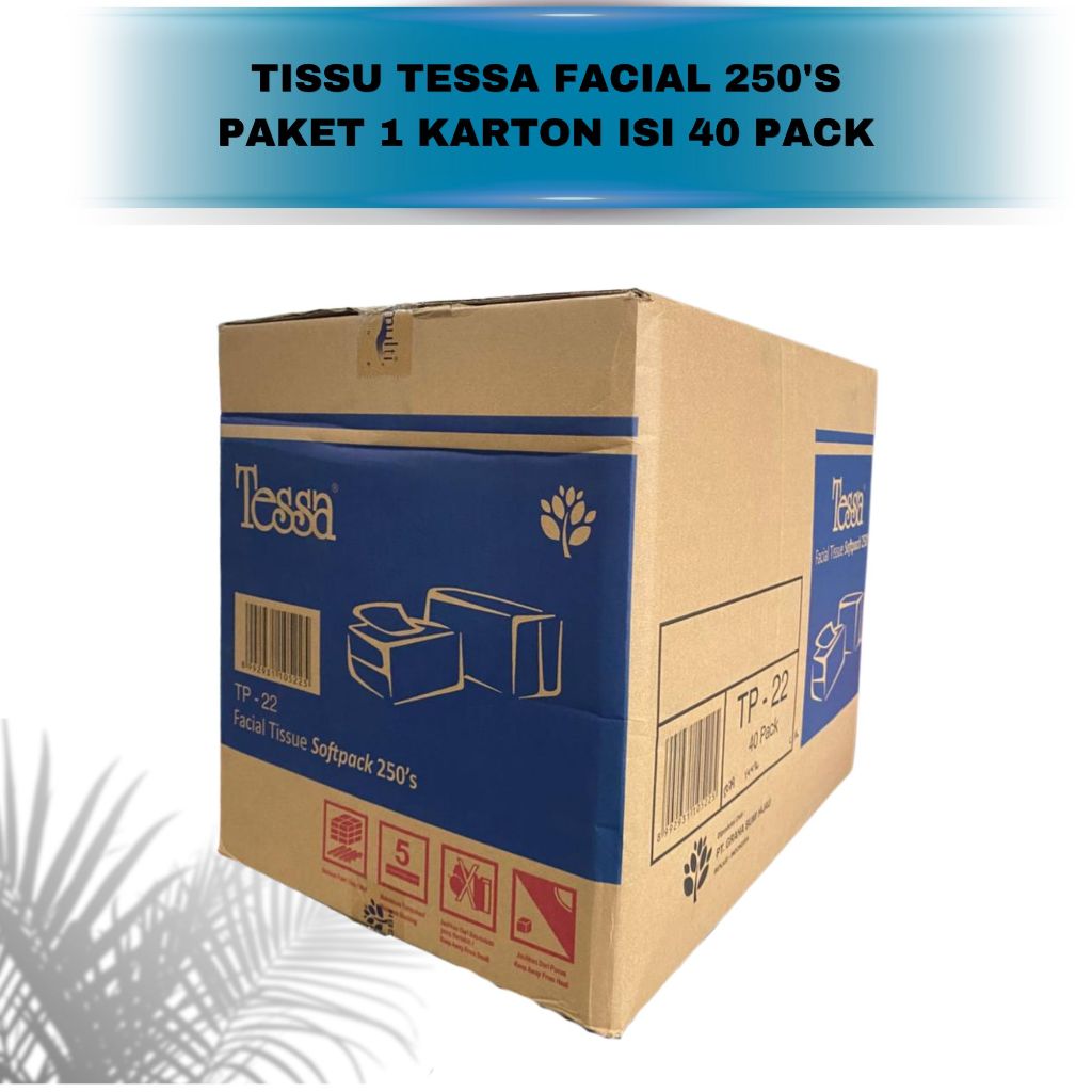 TISU TESSA 250'S 1 KARTON 40 PACK