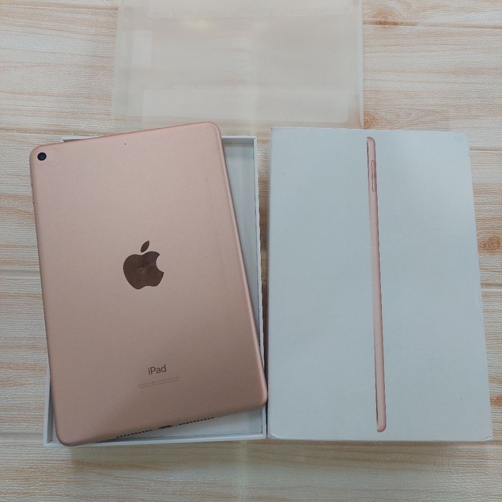 Ipad Mini 5 256 Gb Wifi Only Second Mulus