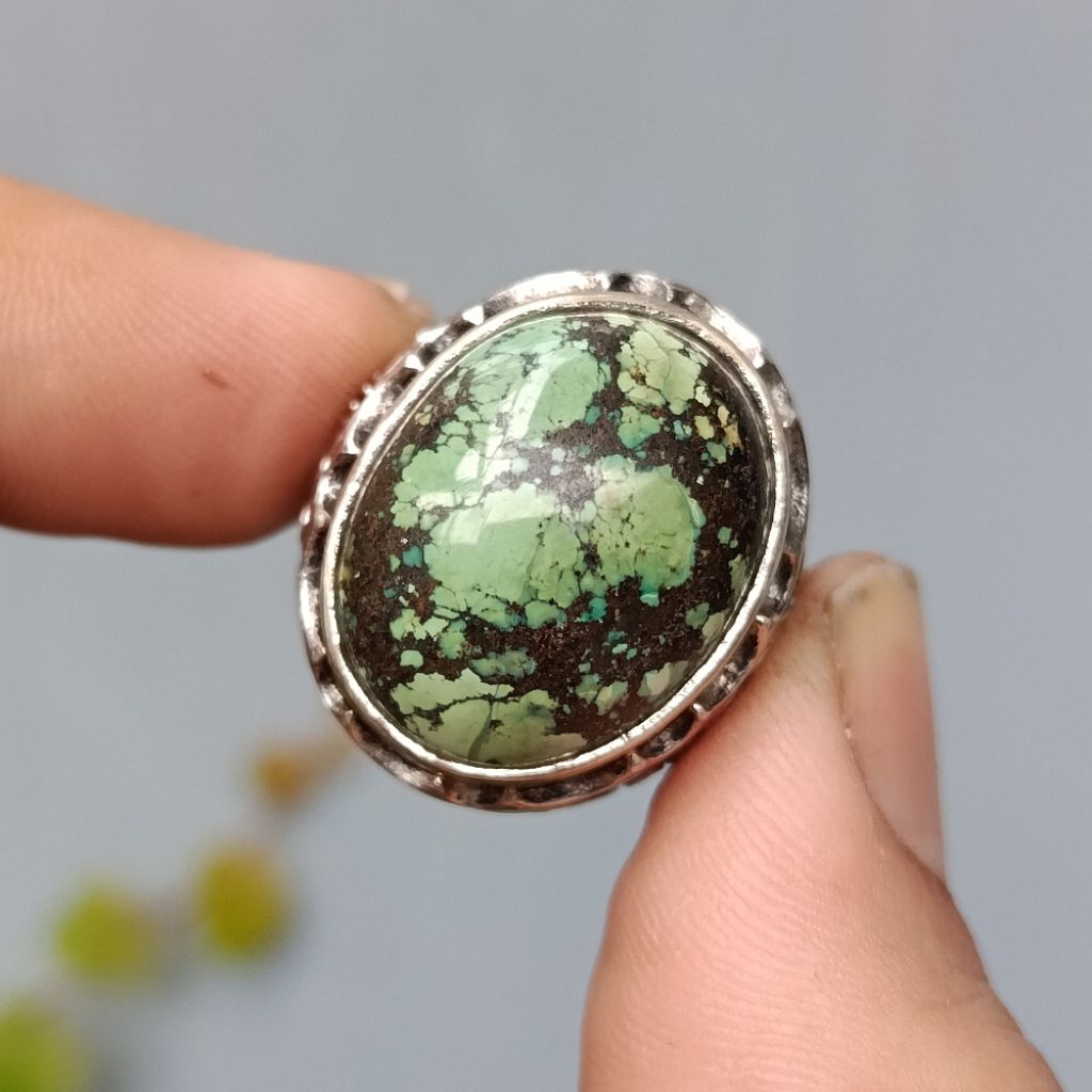 Pirus Hubai Hijau Ceplok