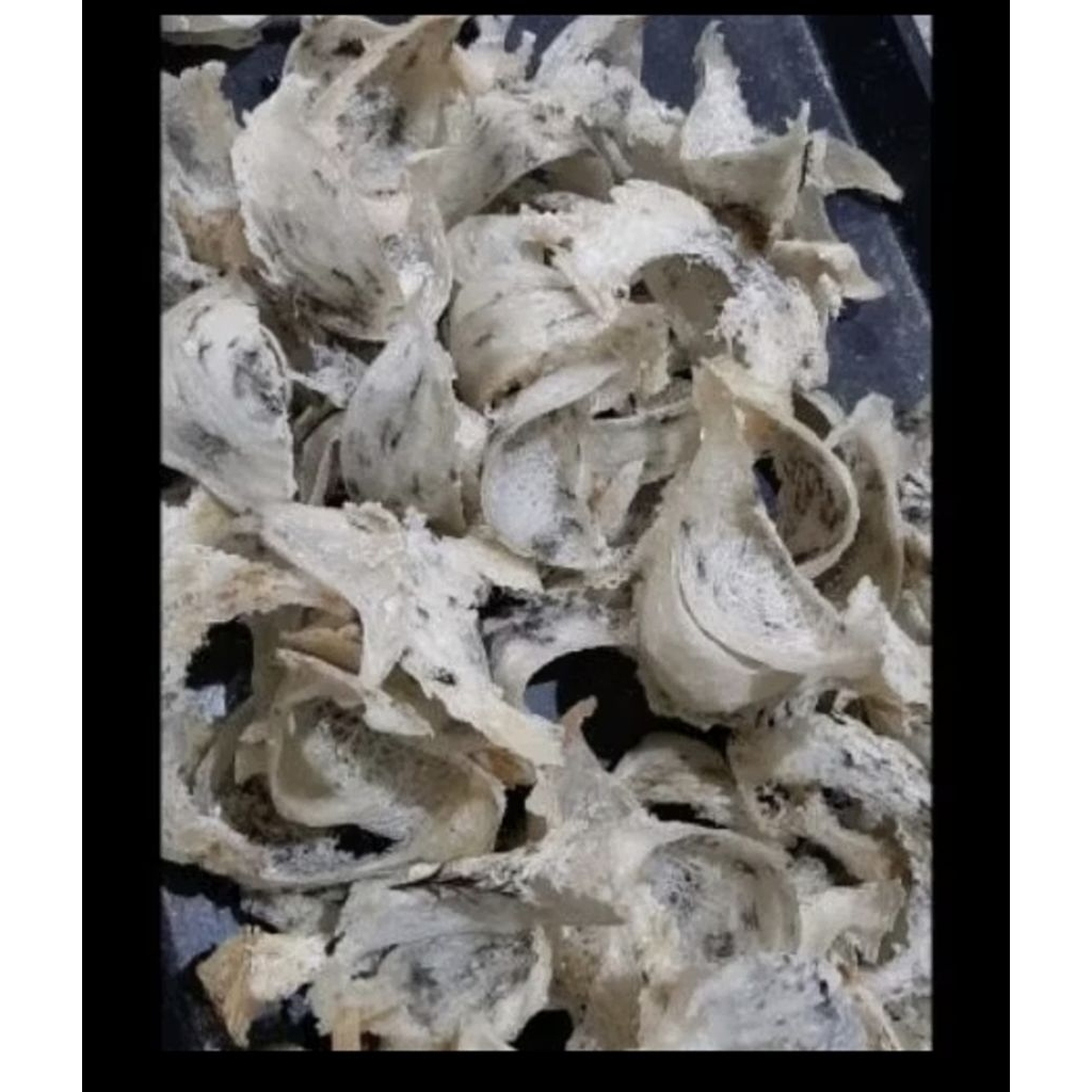 Sarang Burung Walet patahan Kotor 100% Asli  @1gram