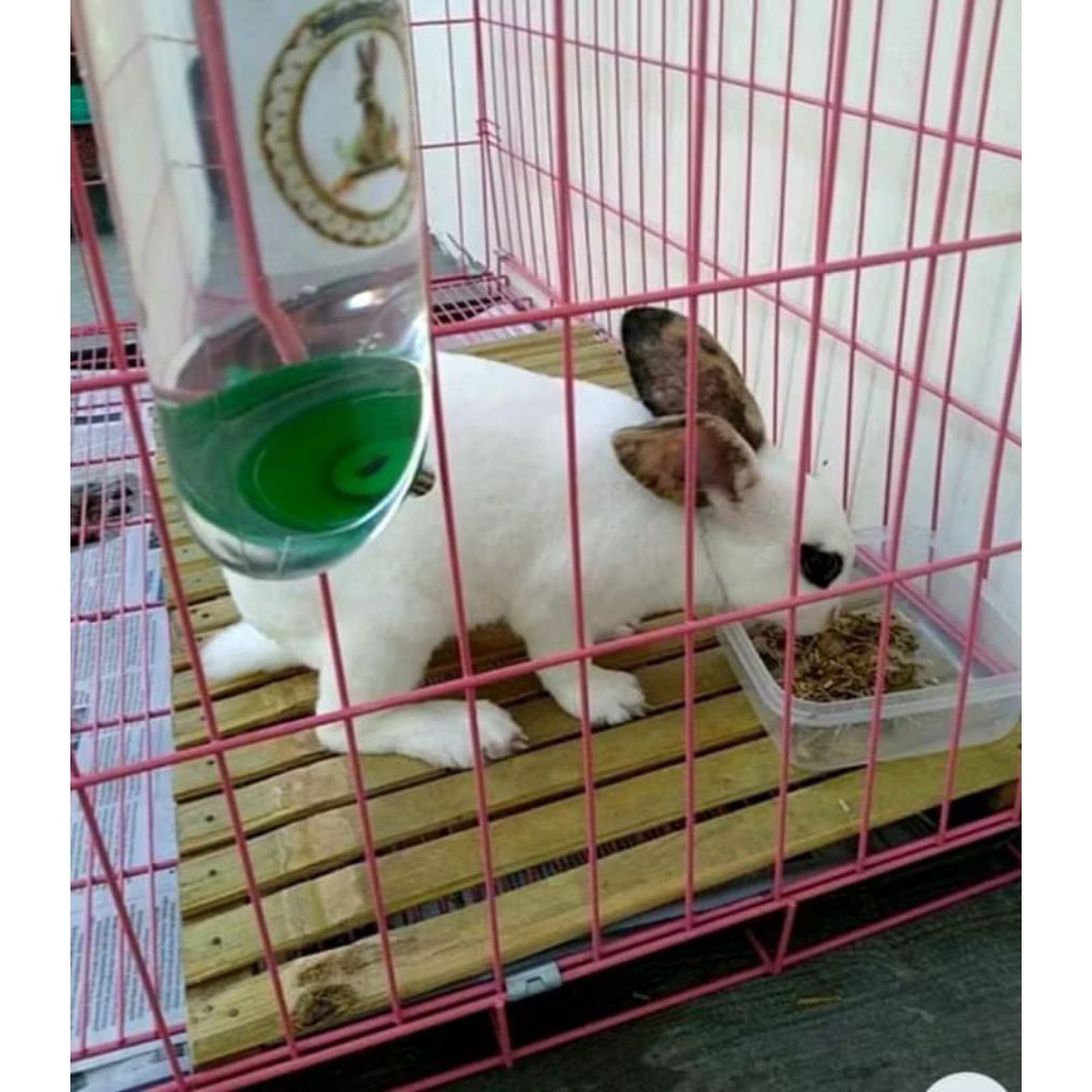 Alas kandang ayam,kelinci Alas kandang bambu