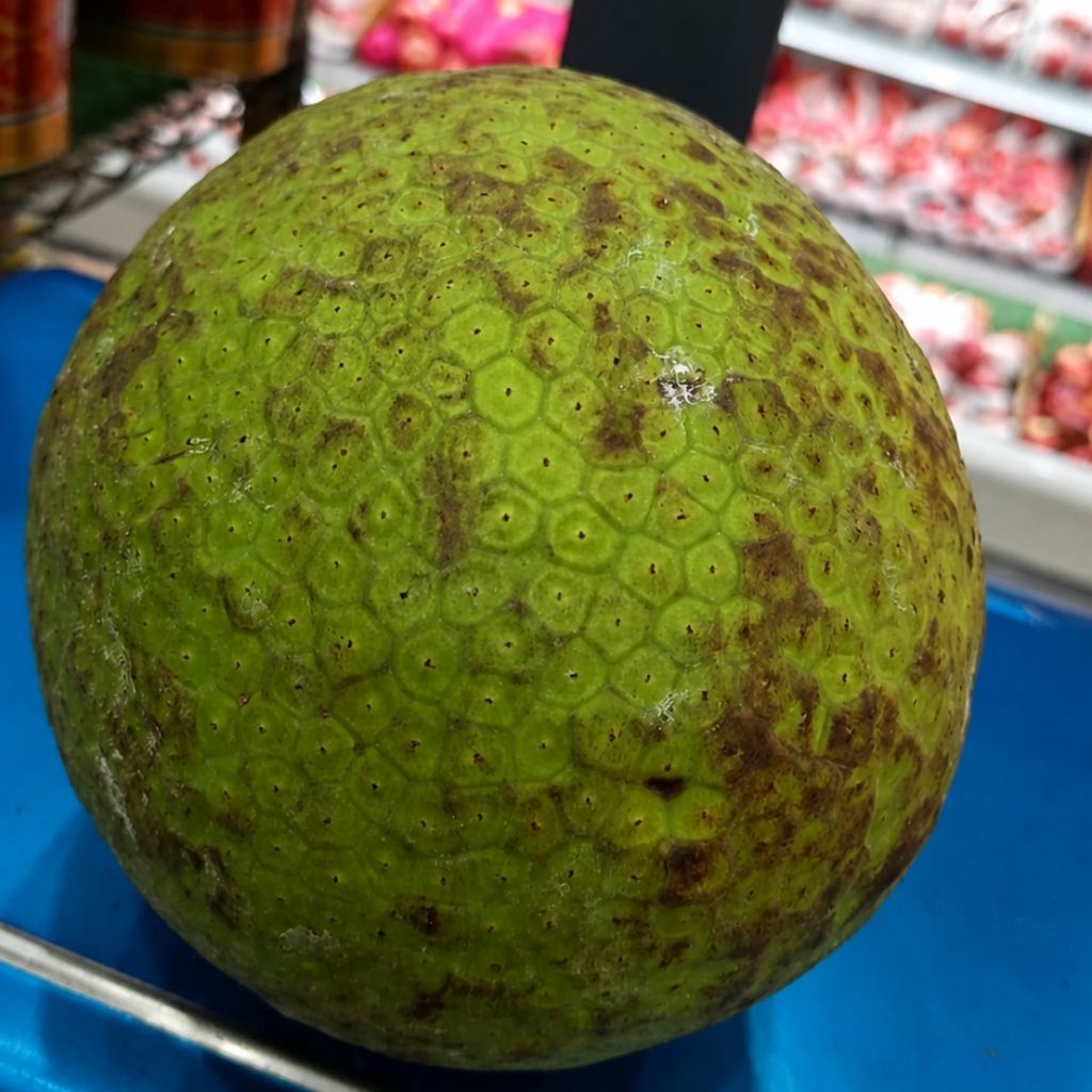 sukun hijau fresh utuh -+1.4kg per pcs
