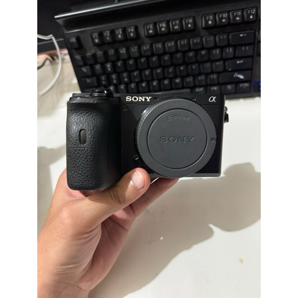 Sony A6600