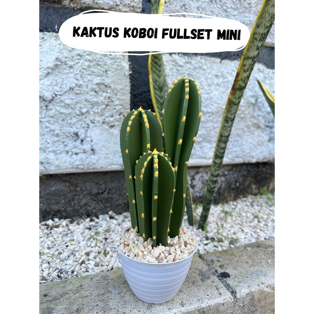 Kaktus koboi mini 40-50cm (BUKAN TANAMAN ASLI)