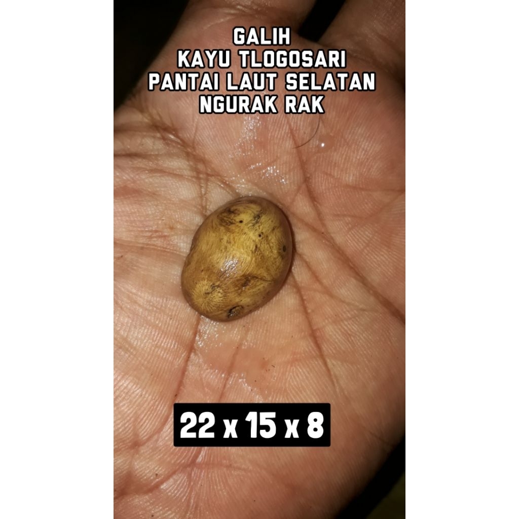 Mata Cincin Galih Kayu TLOGOSARI Combong Samping