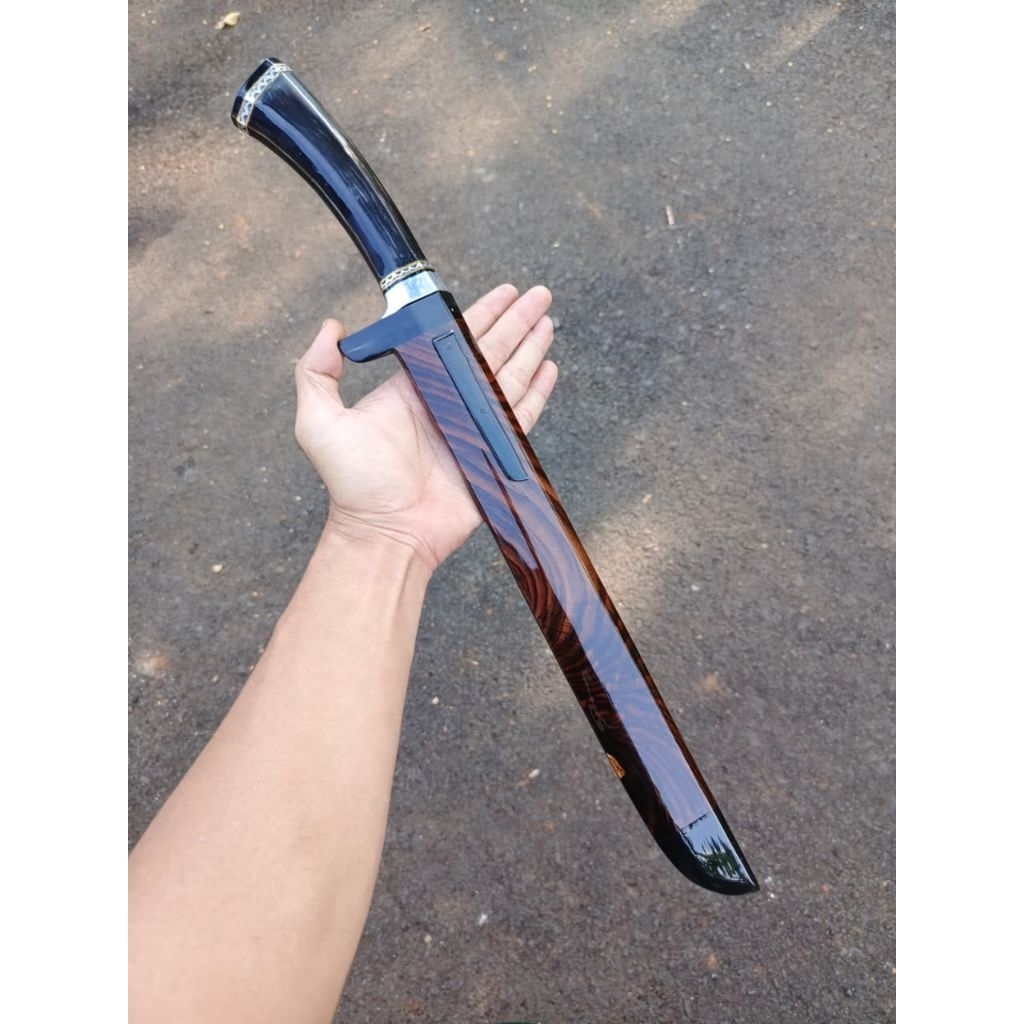G0LSEM premmium sld d2 hitachi 30cm