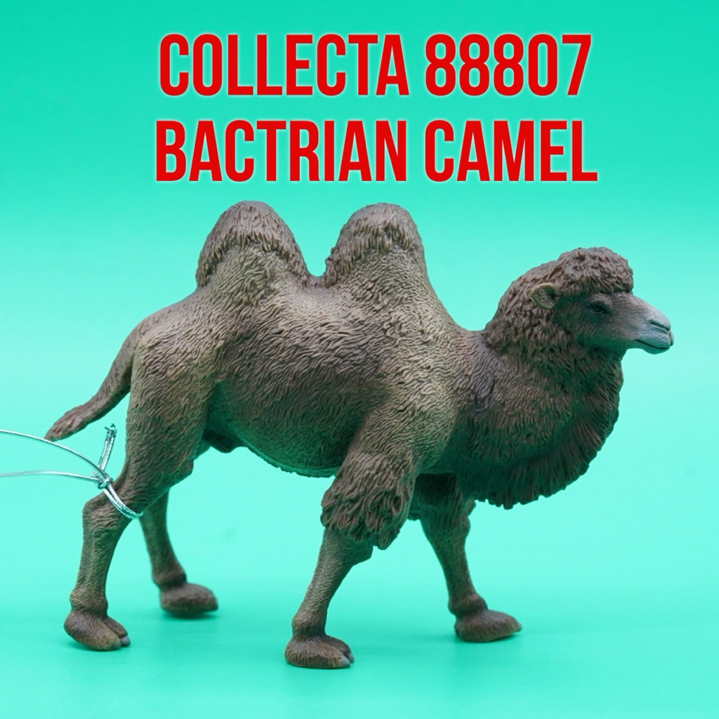 Collecta 88807 Bactrian Camel Unta Baktria Unta Berpunuk Dua  Camelus Bactrianus | Mainan Figure Bin