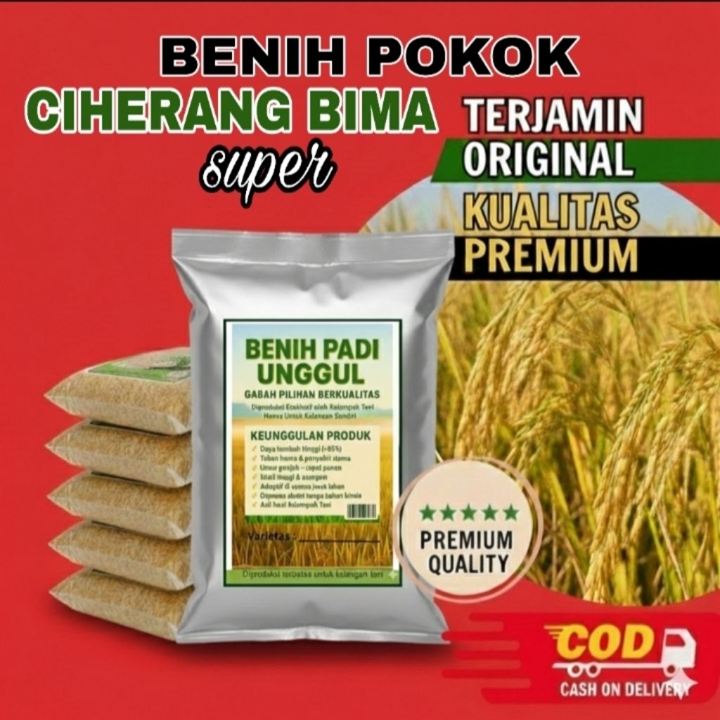 Benih Padi Ciherang Bima Sakti Super Unggul - Kemasan 1kg - Potensi Hasil 12 Ton