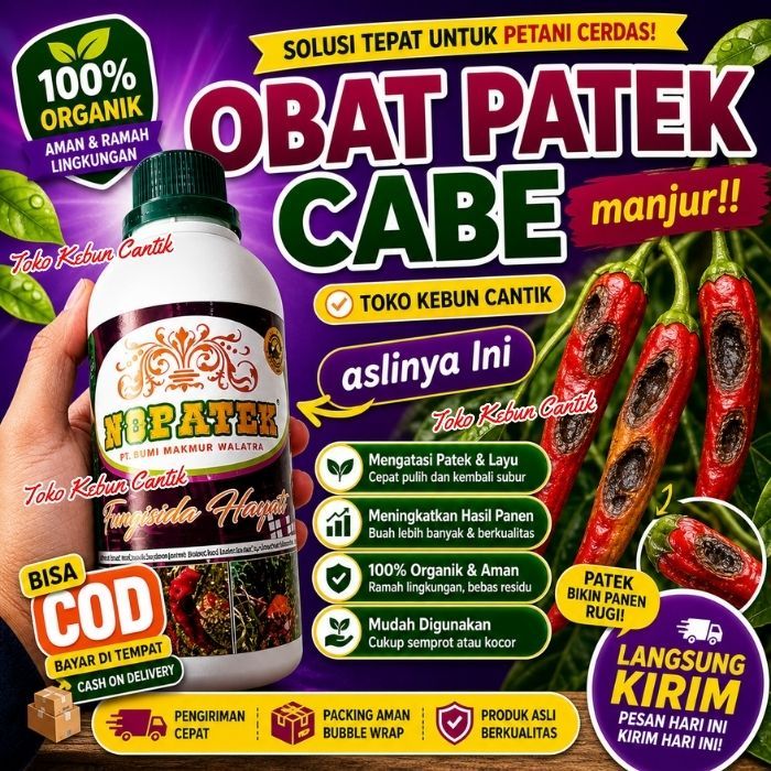 NOPATEK 500ml Obat Antraknosa Cabe Cabai Rumahan Anti Buah Busuk Cepat Kering Promo Bisa COD