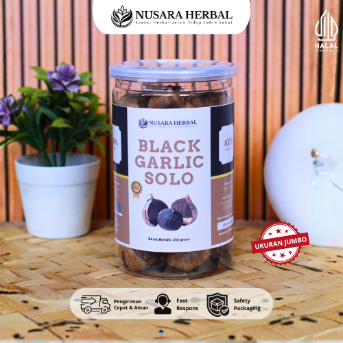 Black Garlic Solo Bawang Hitam Tunggal Premium 250GRAM - Bawang Hitam Lanang