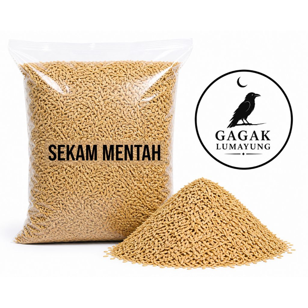 SEKAM PADI 2 KG SEKAM PADI MENTAH SEKAM PADI MEDIA TANAMAN SEKAM PADI SIAP SIAP PAKE
