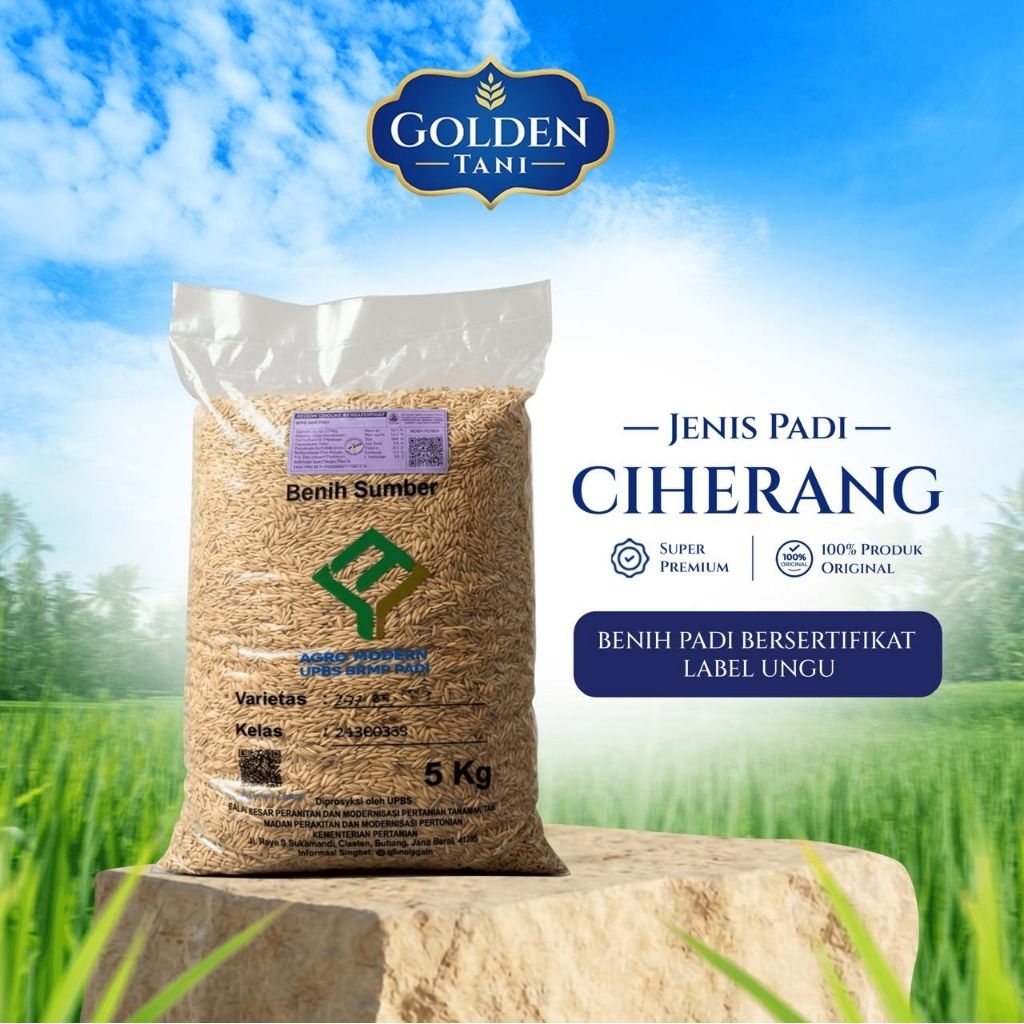 Benih padi bibit padi CIHERANG  bersertifikat label ungu kemasan 5 kg
