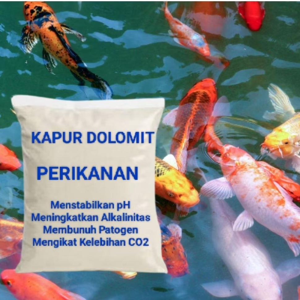 Kapur Dolomit Untuk Perikanan 500gr, Nila Lele Patin Gabus Gurame Udang Lobster Meningkatkan pH Air