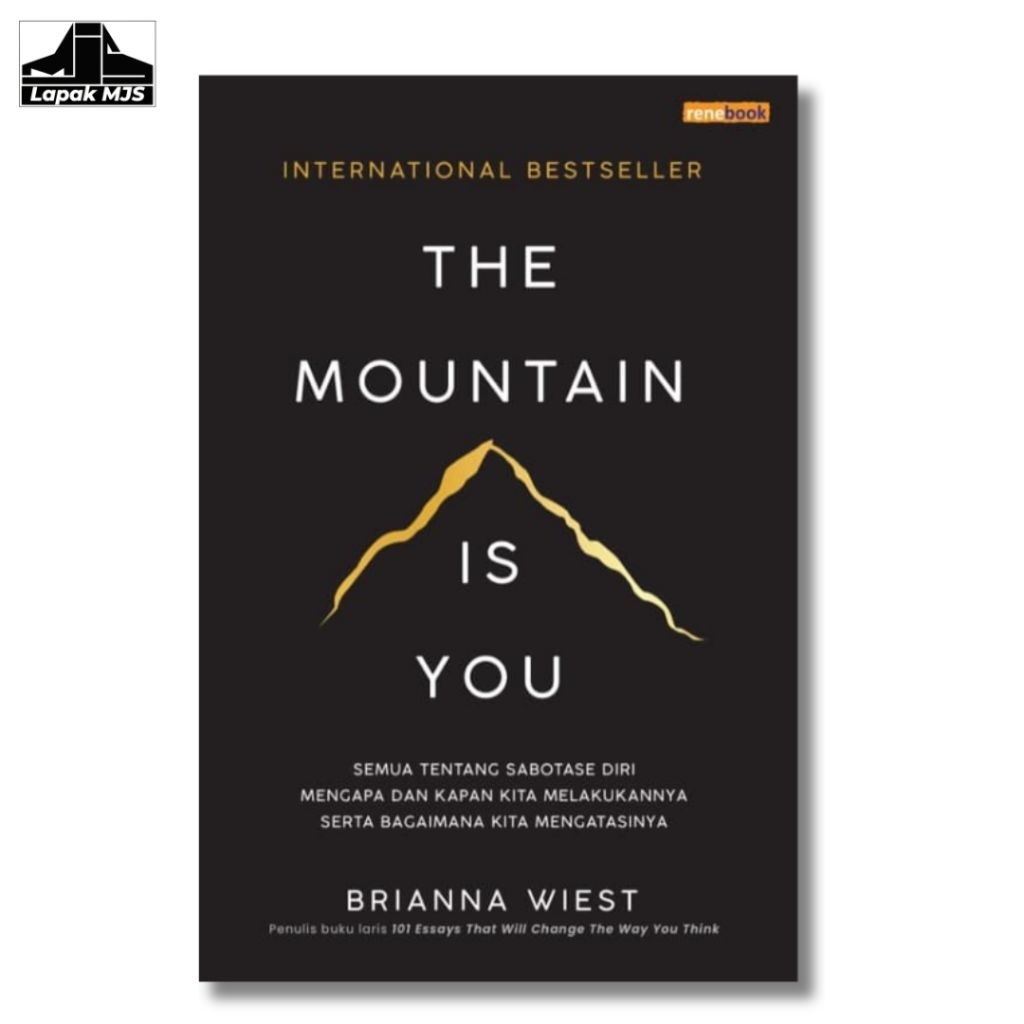 The Mountain Is You - Brianna Wiest