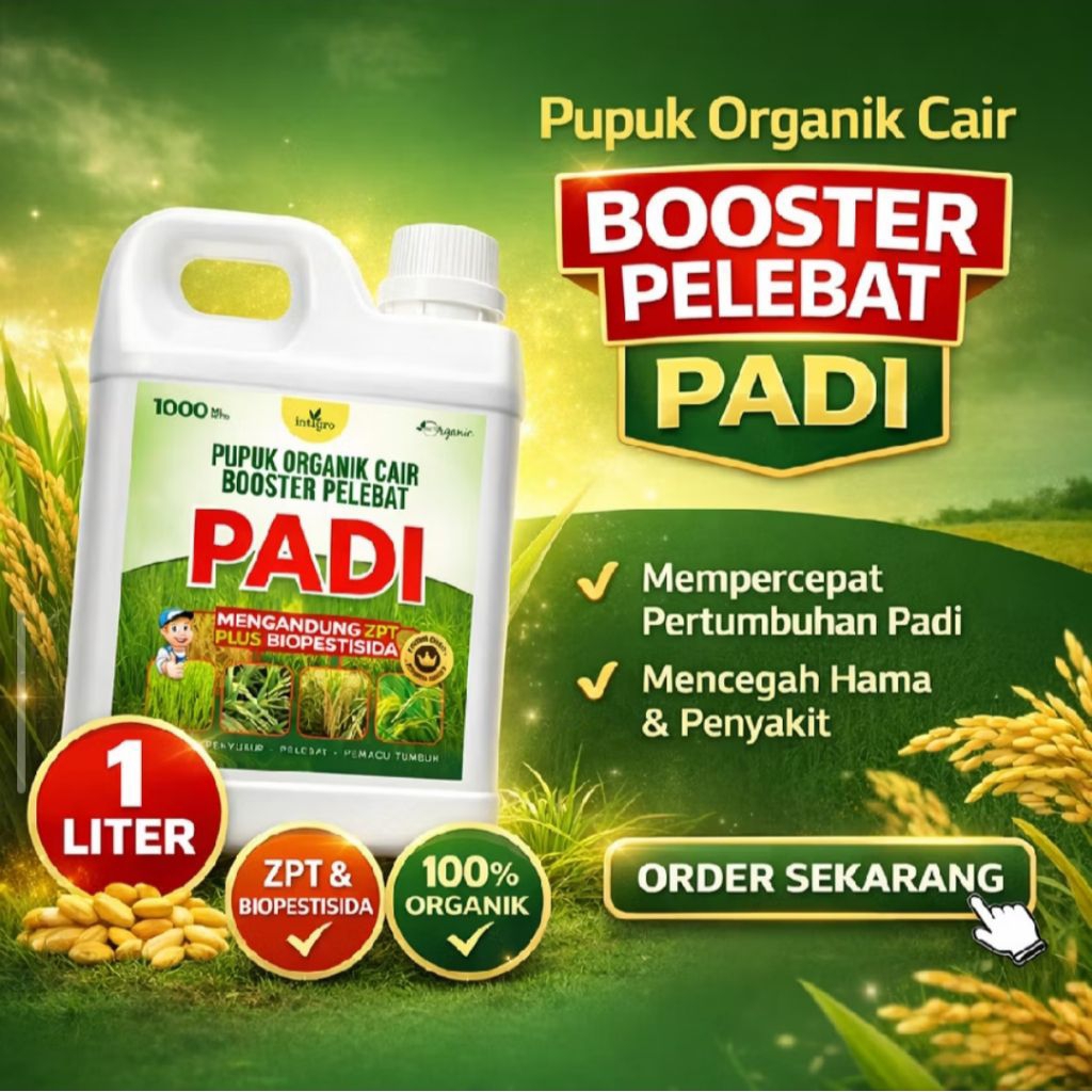 Booster Padi Pupuk Pelebat Buah Padi Terbaik Pupuk Organik Cair Unggulan Khusus Padi