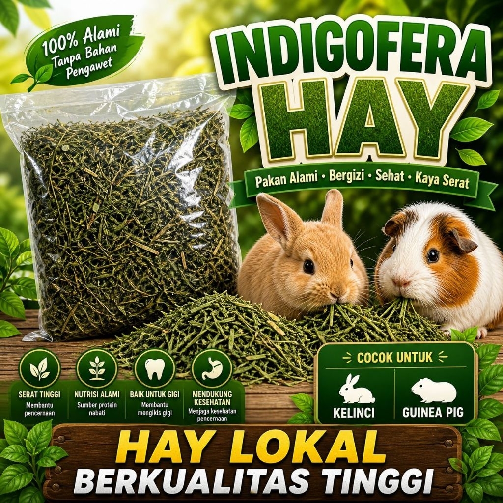 INDIGOFERA 500 GR - HAY TERMURAH Makanan Kelinci Camilan Kelinci Rumput Hay Indigofera 500 gr