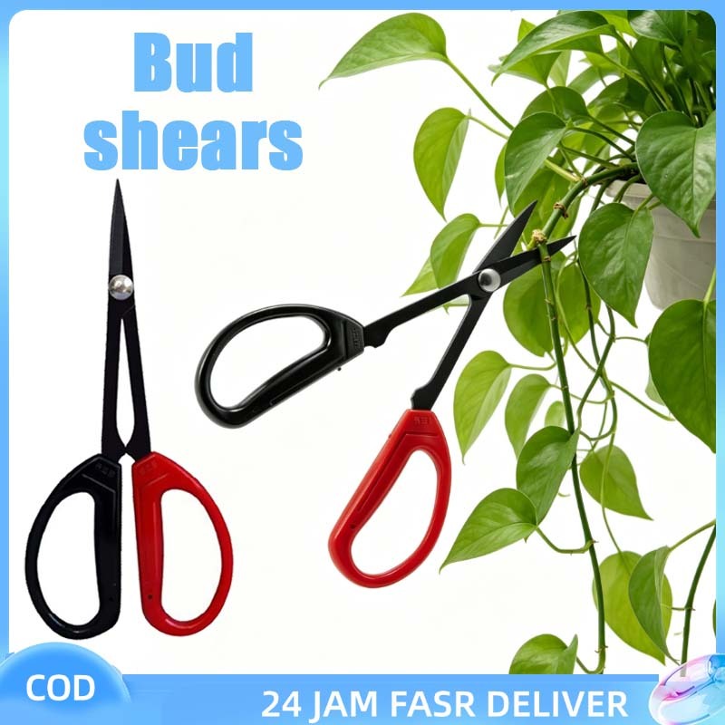 1pcs Gunting Bonsai Pruning Baja Mangan Tajam Gunting Cangkok Bonsai Gunting Pruning Bonsai