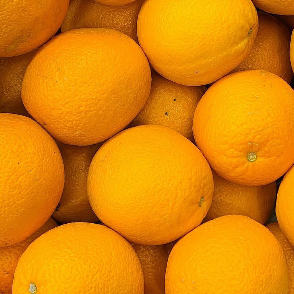 Jeruk Sunkist Australia manis 1 kg