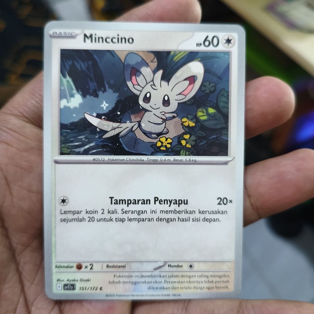 minccino tcg pokemon / kartu pokemon
