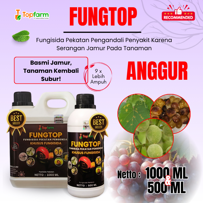 Fungisida Jamur Buah Anggur / Fungisida Busuk Buah Anggur / Obat Jamur Topfarm / Obat Embun Tepung P