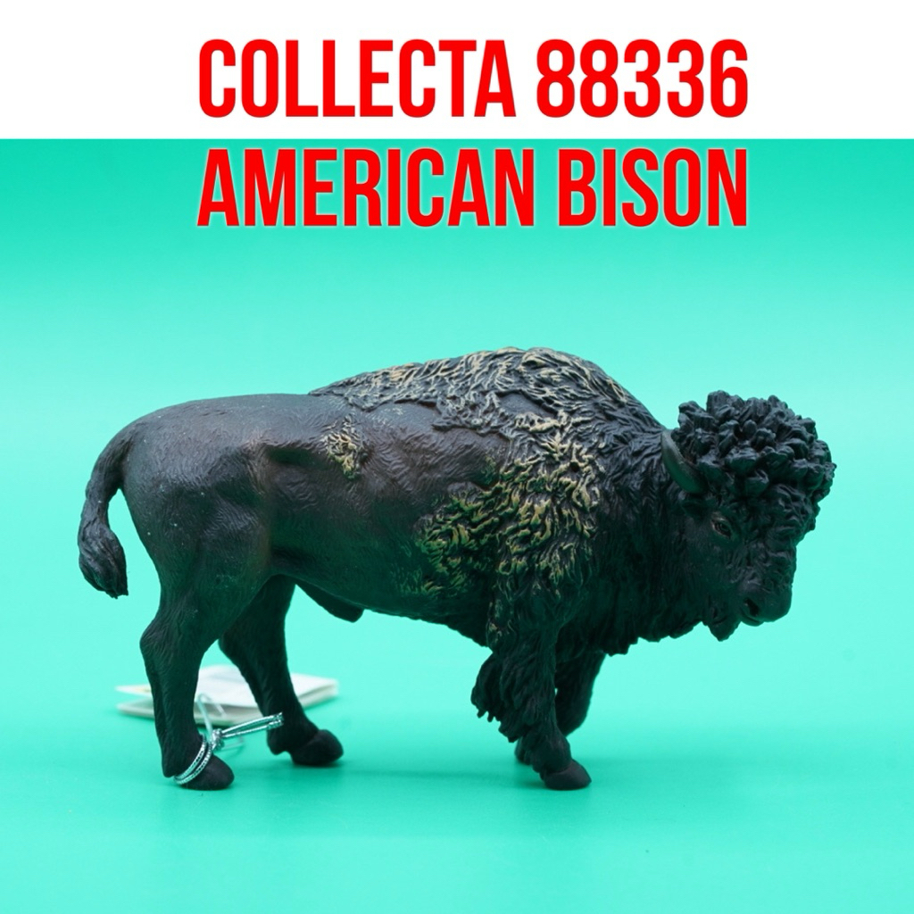 Collecta 88336 American Bison Buffalo Kerbau Amerika Bovidae | Mainan Figure Binatang Miniature Hewa