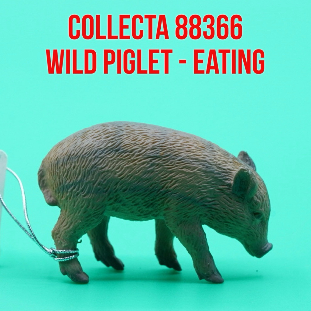 Collecta 88366 Wild Boar Wild Piglet Eating Pig Babirusa Anak Babi Hutan Celeng Sus Scrofa | Mainan 
