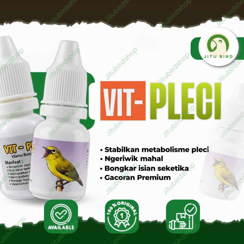 VIT PLECI - Vitamin Harian Lomba Penggacor Burung Pleci Auto Nembak Ngalas Plong Gacor Kristal Full 