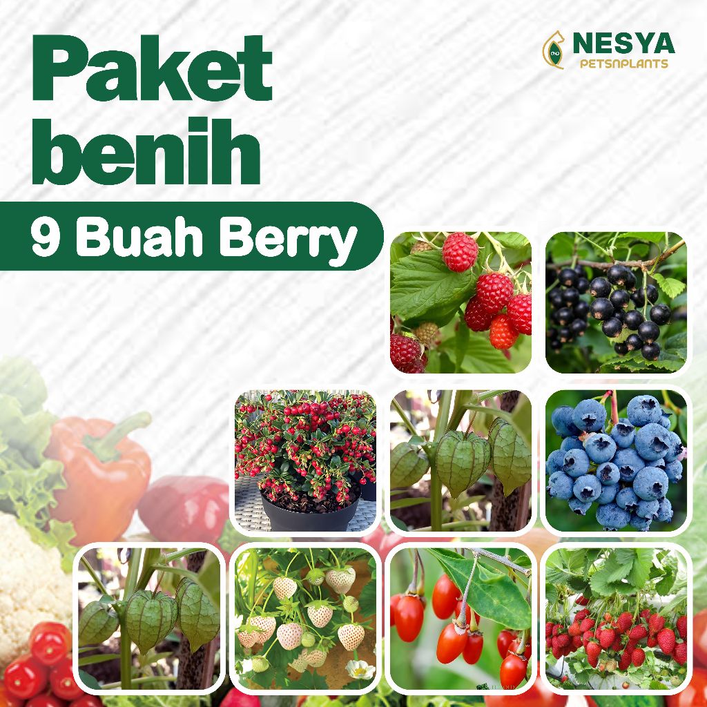 Paket Benih 9 Jenih Buah Berry - Benih Buah  Buahan Berkualitas