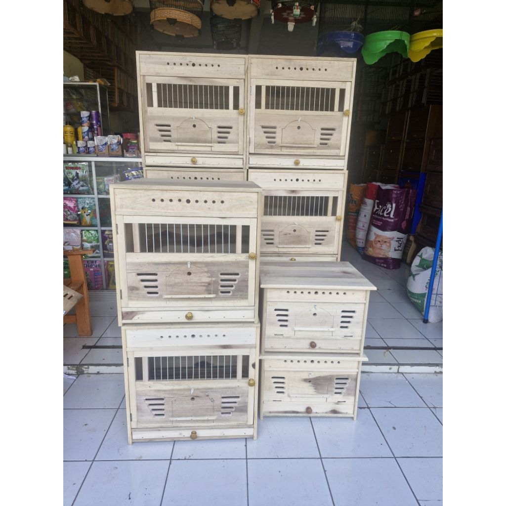Kandang macan mini kandang merpati