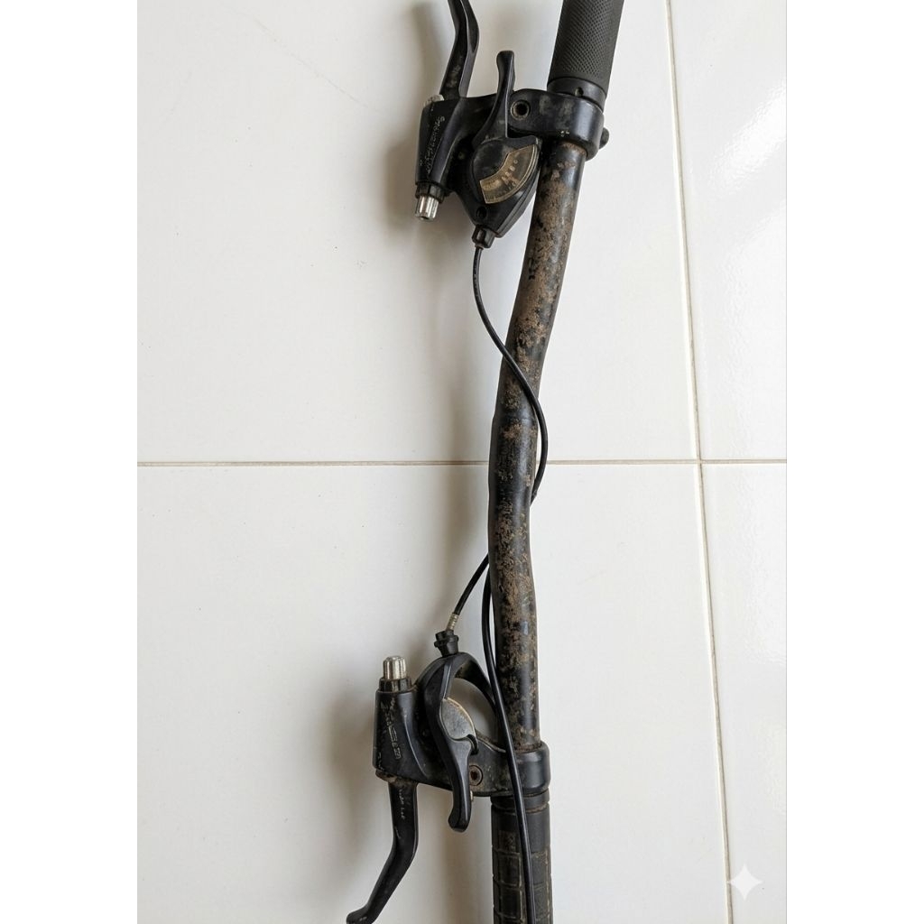 stang MTB