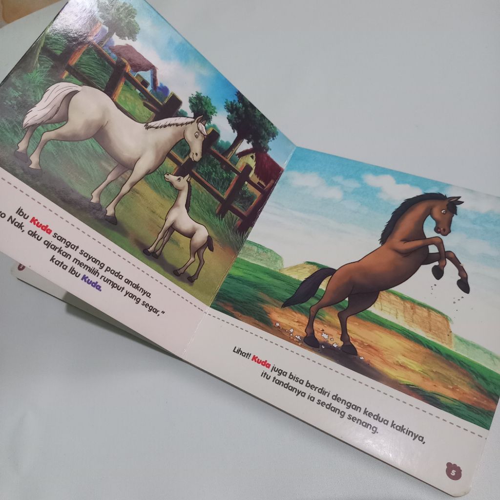 buku anak boardbook kudaku preloved