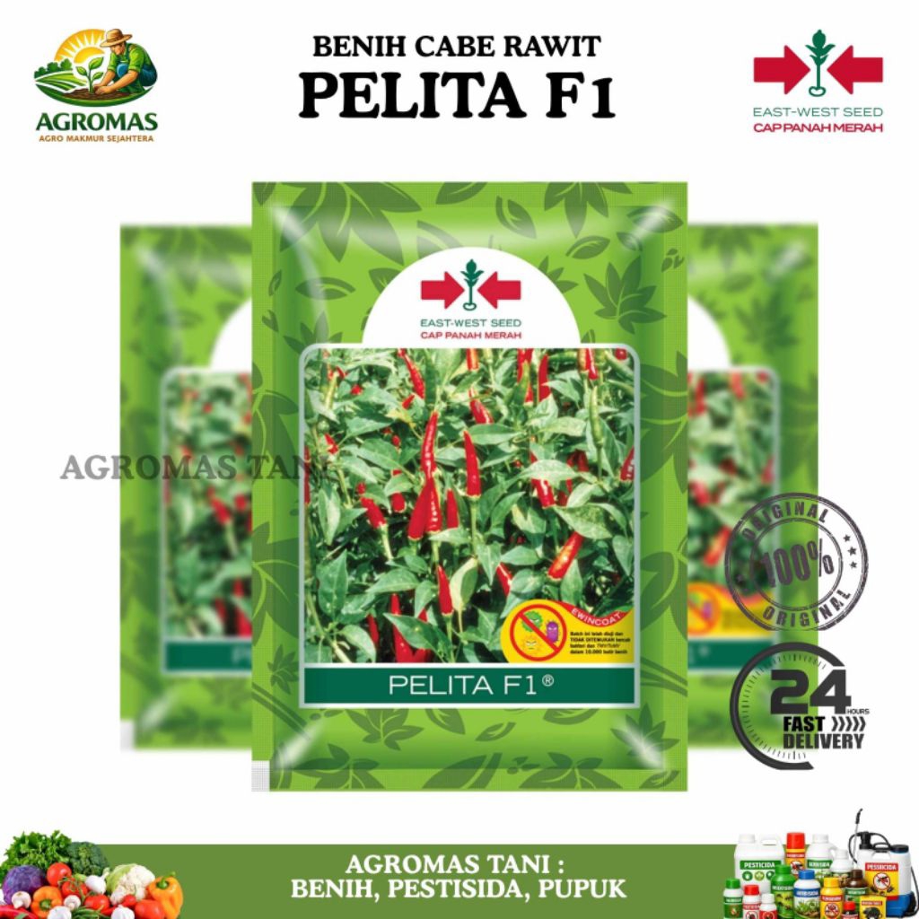 BENIH CABE RAWIT PELITA F1 2250 BIJI CAP PANAH MERAH