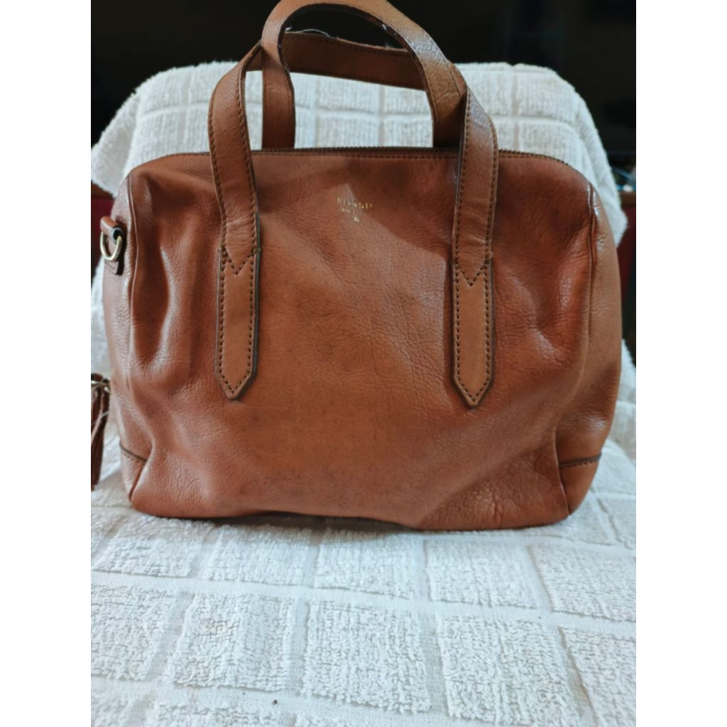 tas fossil authentic