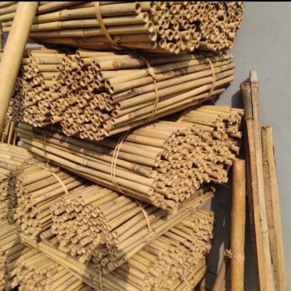 Tongkat Bambu/Tongkat Cendani/Tongkat Pramuka