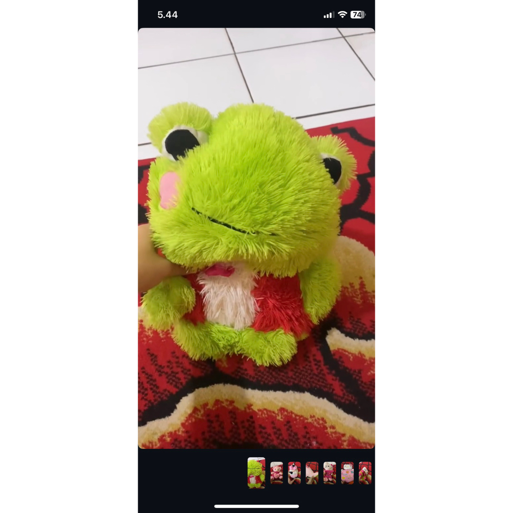 boneka kodok