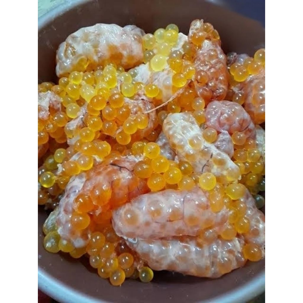 TELUR IKAN MANYUNG SEGAR