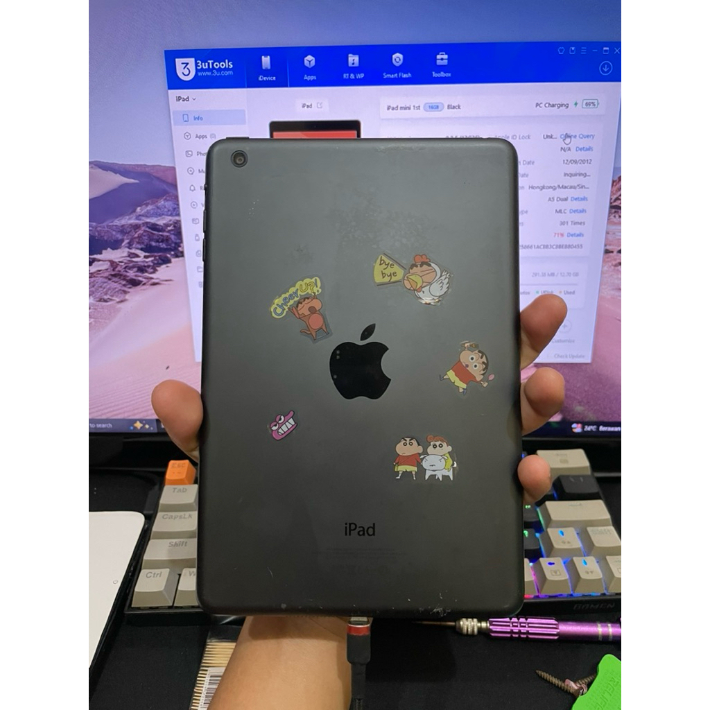 iPad Mini 1 Lock icloud