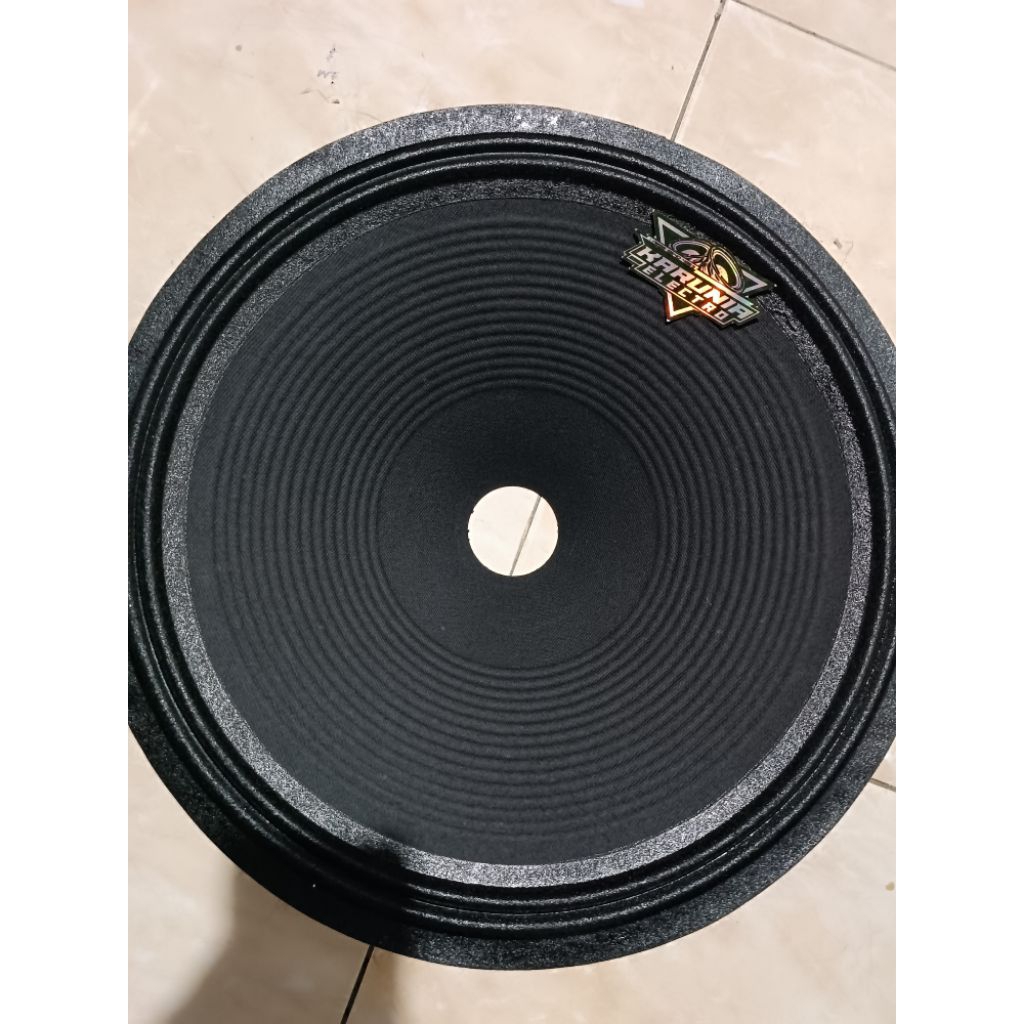 daun speaker ACR 15 in 15400 special fr2