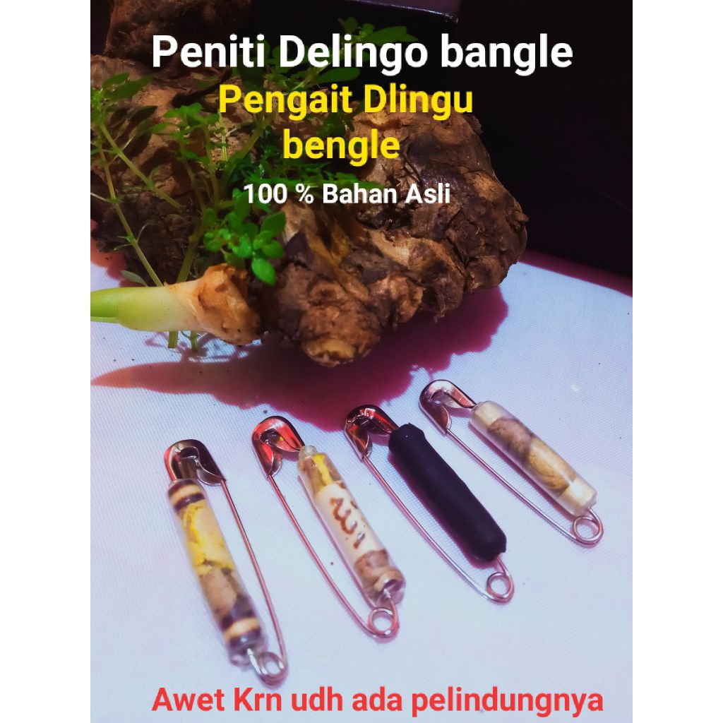 Peniti Delingo Bangle Asli ,pengait Delingu bangle asli