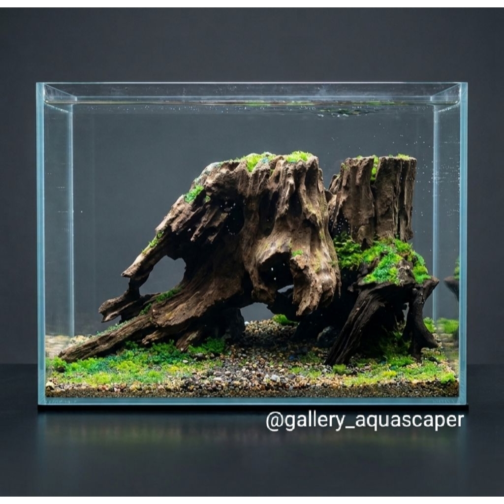 HARDSCAPE Aquascape Kayu Eksklusif natural style UK 40×30×22 cm