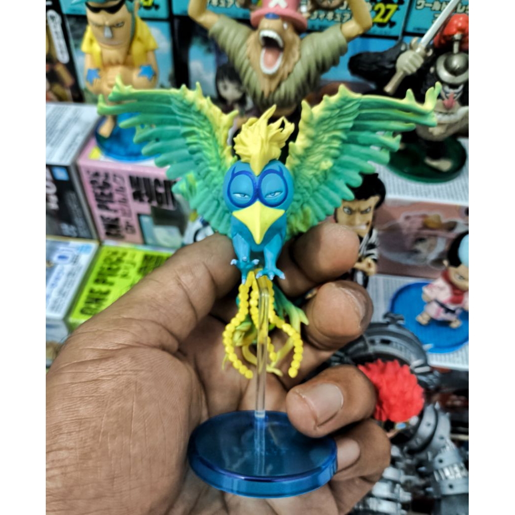 WCF ORIGINAL MARCO PHOENIX ZOAN LOOSE