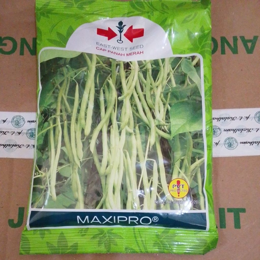 Benih buncis 500gr "MAXIPRO"
