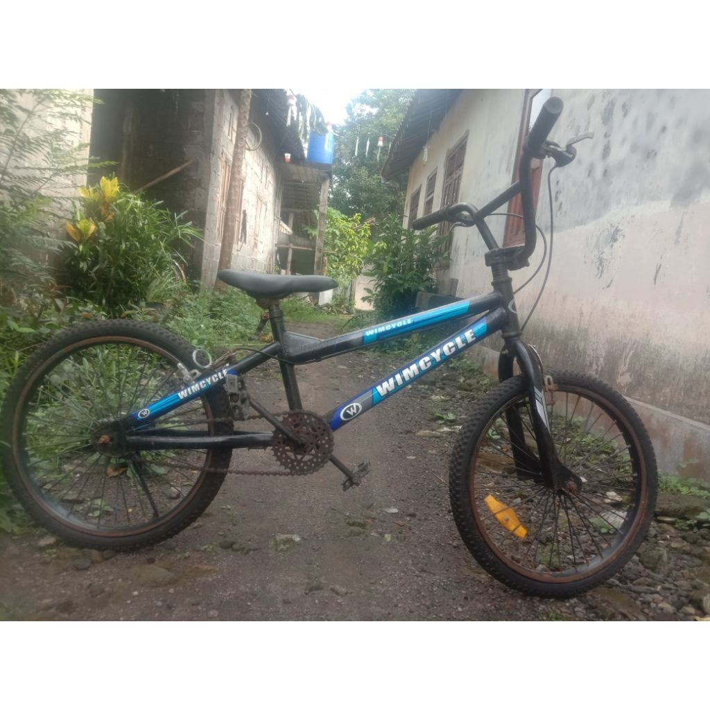 [PRELOVED - MURAH] Sepeda Anak 20 inch BMX - PHOENIX, PHOENIX Star, WIMCYCLE, dan EXOTIC Bekas / Sec