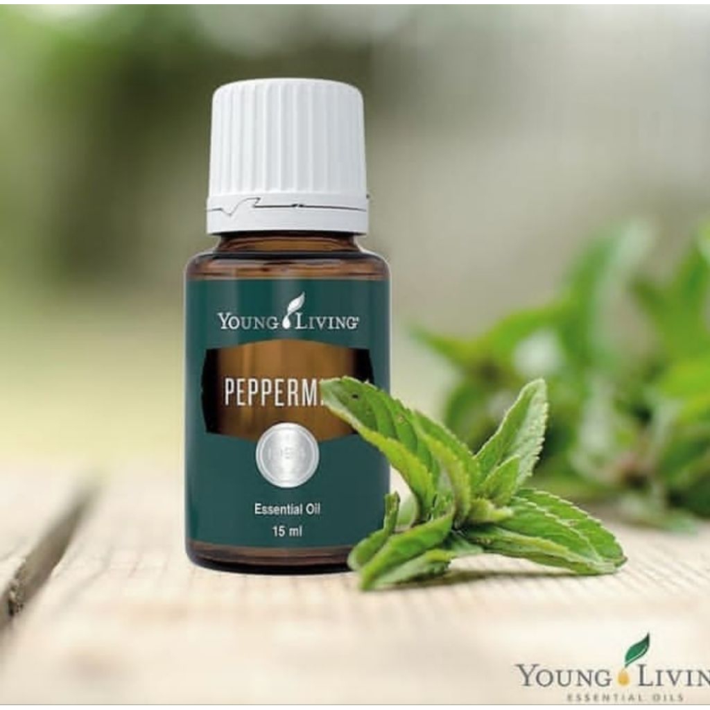 Peppermint oil 15ml yleo