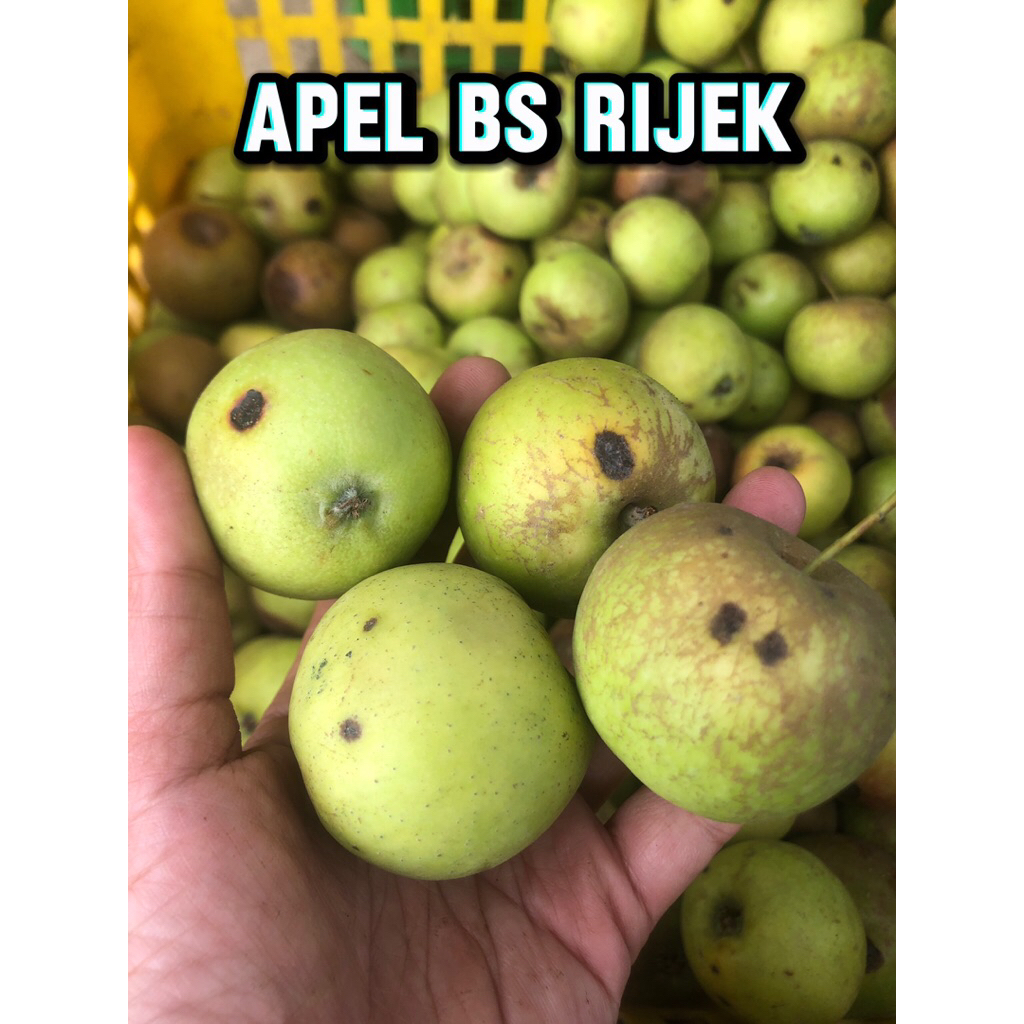 APEL BS RIJEK - 1 KG