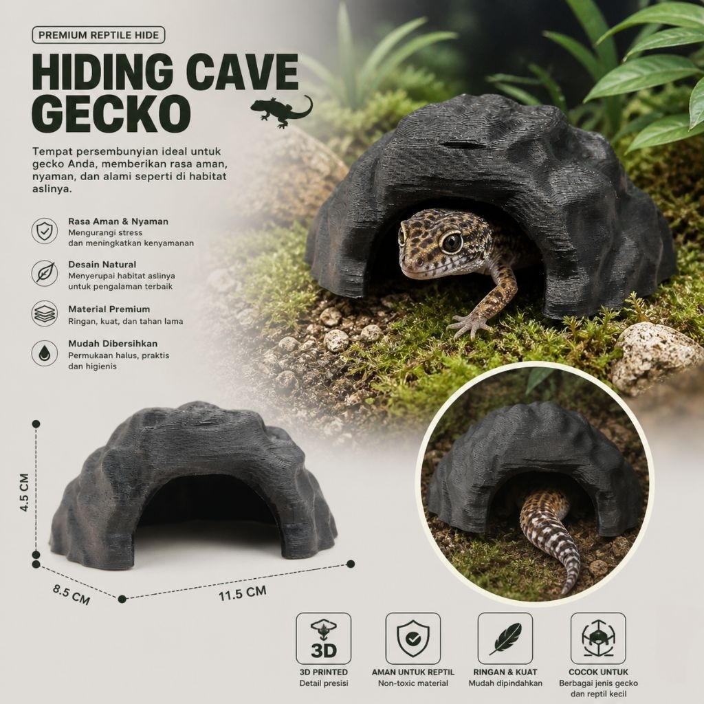 Hiding Cave Gecko, Tempat Sembuyi Toke, Gecko, Cave untuk akan toke