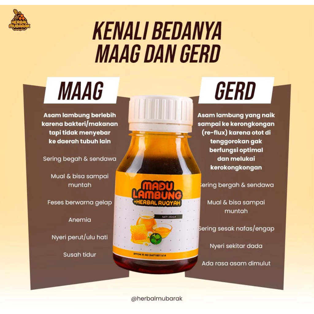 Madu Lambung Herbal Mubarok (Tanpa Box)