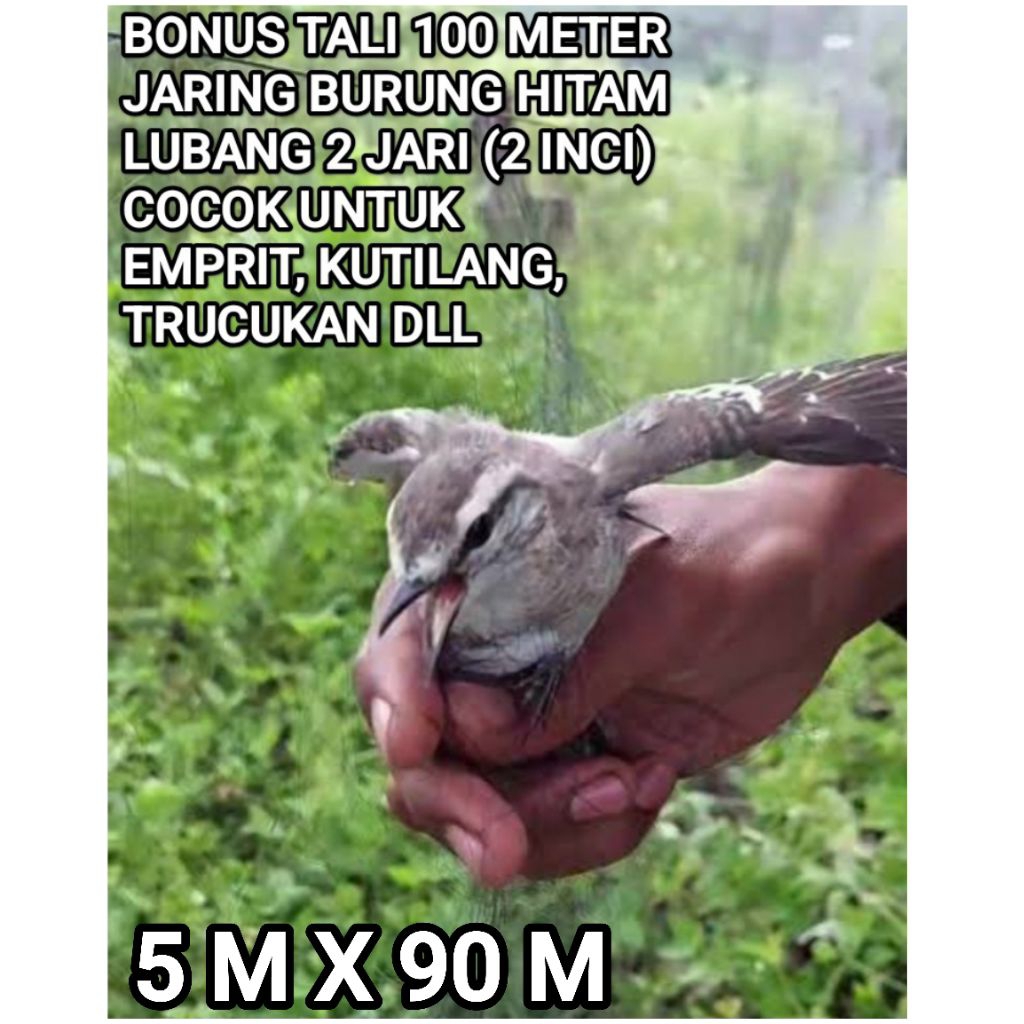 BONUS TALI 100 METER JARING BURUNG HITAM 5X90 METER UNTUK BURUNG EMPRIT KUTILANG DAN BURUNG LAINYA